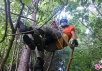 Paralotniarz utknął na drzewie - zdjęcie główne