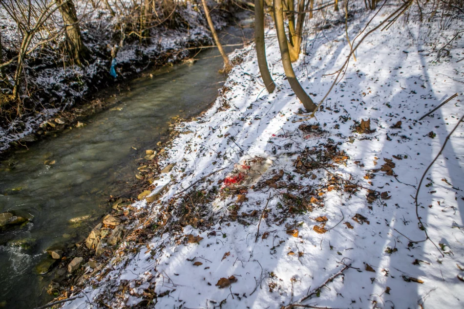 Wilk w biały dzień zaatakował sarnę w pobliżu domostw - zdjęcie 3