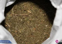 Dwa miesiące aresztu dla 24-latka u którego znaleziono 800 g marihuany - zdjęcie główne