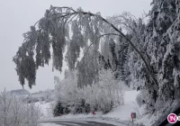 Uwaga ślisko na drogach i chodnikach - zdjęcie główne
