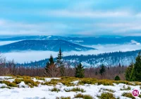 Tej nocy możliwe oblodzenia - zdjęcie główne