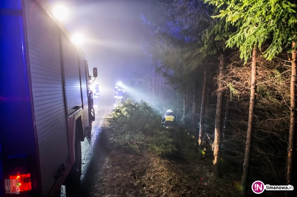 Dachowanie samochodu - zdjęcie 2