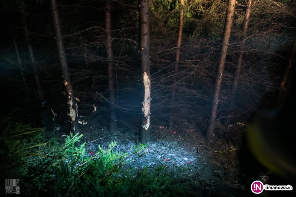 Dachowanie samochodu - zdjęcie 4