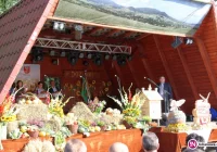 Gminne dożynki i święto pszczelarzy - zdjęcie główne