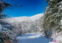 Już w środę wielki piknik zimowy - zdjęcie główne