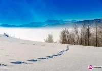 Meteorolodzy ostrzegają - silny mróz - zdjęcie główne