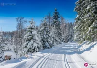 Warunki na narty zjazdowe, czy biegowe idealne! - zdjęcie główne
