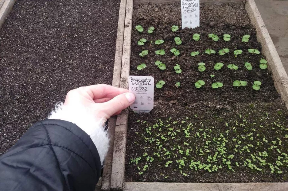 Wiosenne zajęcia dla architektów krajobrazu - zdjęcie 3