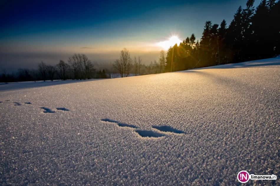 Najbliższe noce znów z silnym mrozem - ostrzeżenie IMiGW - zdjęcie 4