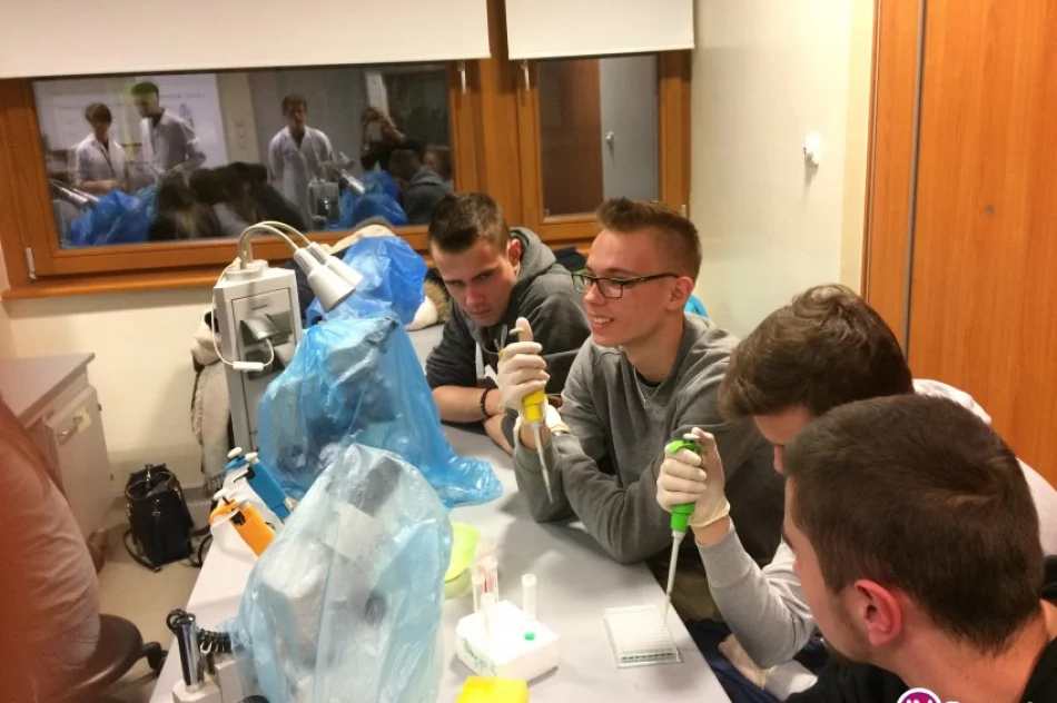 Czy nocą wszyscy śpią? - zdjęcie 2