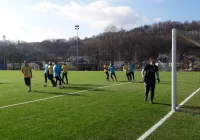 Górnik zmierzył się z Limanovią - zdjęcie główne