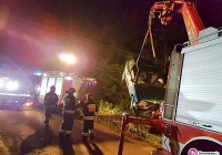 Wjechał do rowu, bo chciał uniknąć uderzenia w sarnę - zdjęcie główne