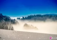 Uwaga, najbliższe noce z silnym mrozem - zdjęcie główne