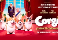 "Corgi, psiak Królowej" od 8 marca w Kinie Klaps! - zdjęcie główne
