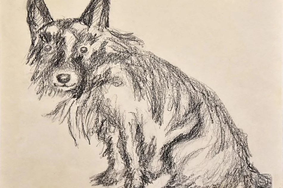 Poznaj 'Perspektywę' śp. Artura Struzika - zdjęcie 3