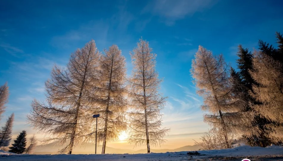 Wracają silne mrozy! Nawet -25 st.C - zdjęcie 1