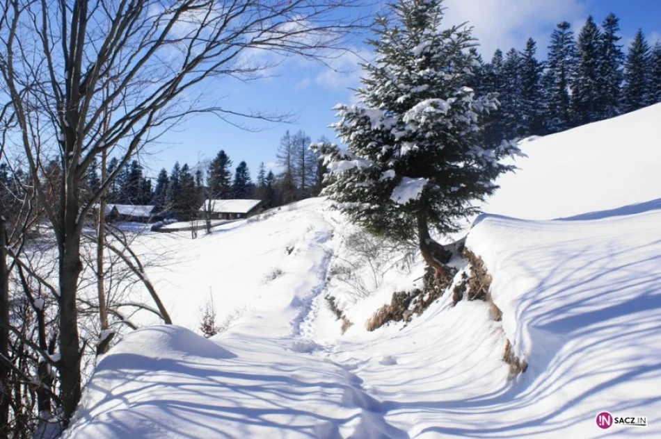 PTTK na „piwniczańskiej perci” - zdjęcie 3