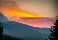 Przesilenie wiosenne: mit czy fakt? - zdjęcie główne