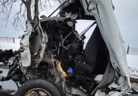 Bus wbił się w drzewo. Zginał 54-letni kierowca - mieszkaniec Limanowszczyzny - zdjęcie główne
