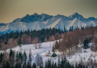 Uwaga na silny wiatr  - wydano ostrzeżenia drugiego stopnia. Możliwe także burze - zdjęcie główne