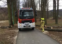Włodarze gminy i druhowie odradzają podejmowanie aktywności w parku i apelują o ostrożność - zdjęcie główne