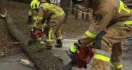 Włodarze gminy i druhowie odradzają podejmowanie aktywności w parku i apelują o ostrożność - zdjęcie 2