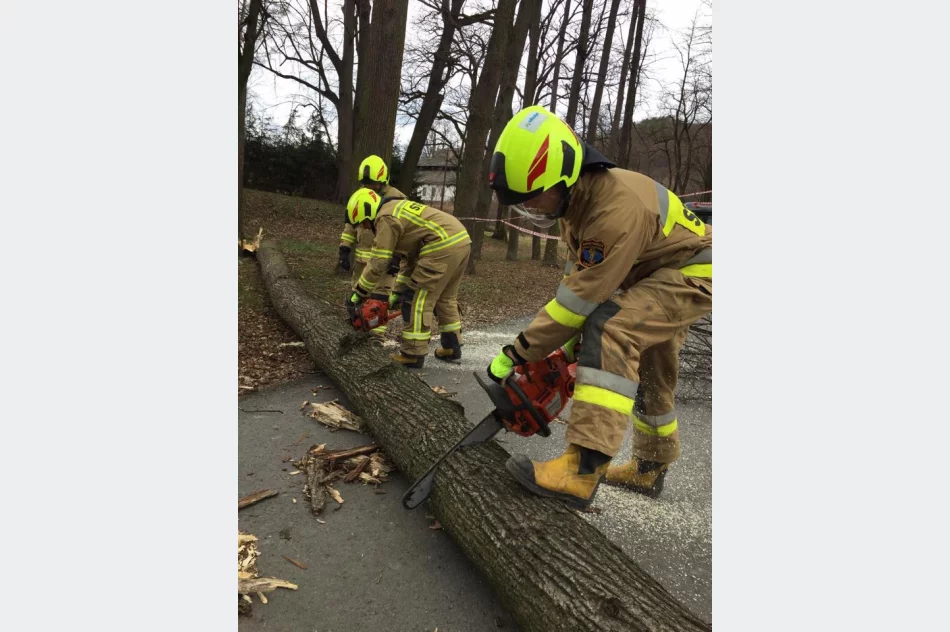 Włodarze gminy i druhowie odradzają podejmowanie aktywności w parku i apelują o ostrożność - zdjęcie 2