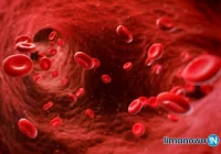 „Niech połączy nas krew, która ratuje życie” - limanowska policja zachęca do pomagania - zdjęcie główne