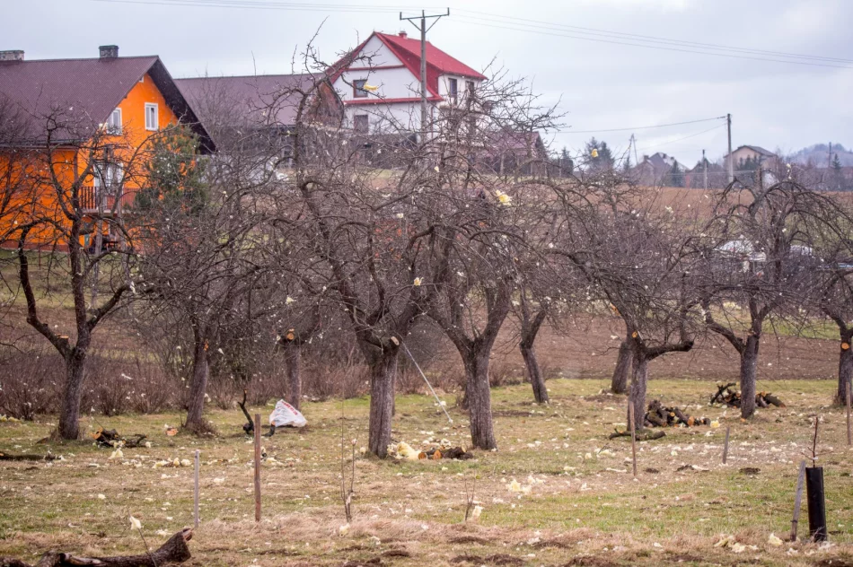 Zniszczenia w Męcinie po silnym wietrze - zdjęcie 5