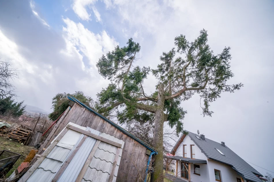 Zniszczenia w Męcinie po silnym wietrze - zdjęcie 9