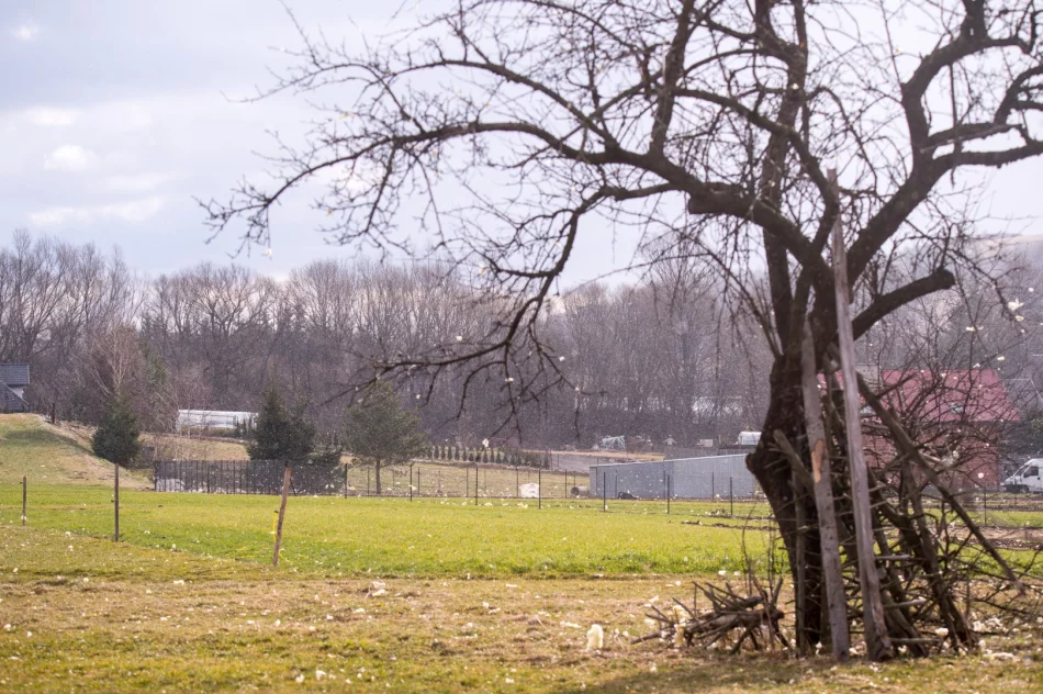 Zniszczenia w Męcinie po silnym wietrze - zdjęcie 12