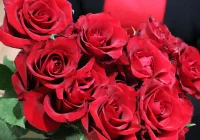 Dzień Kobiet 2019 - zdjęcie główne