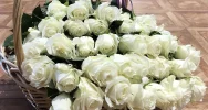Dzień Kobiet 2019 - zdjęcie 3