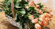Dzień Kobiet 2019 - zdjęcie 5
