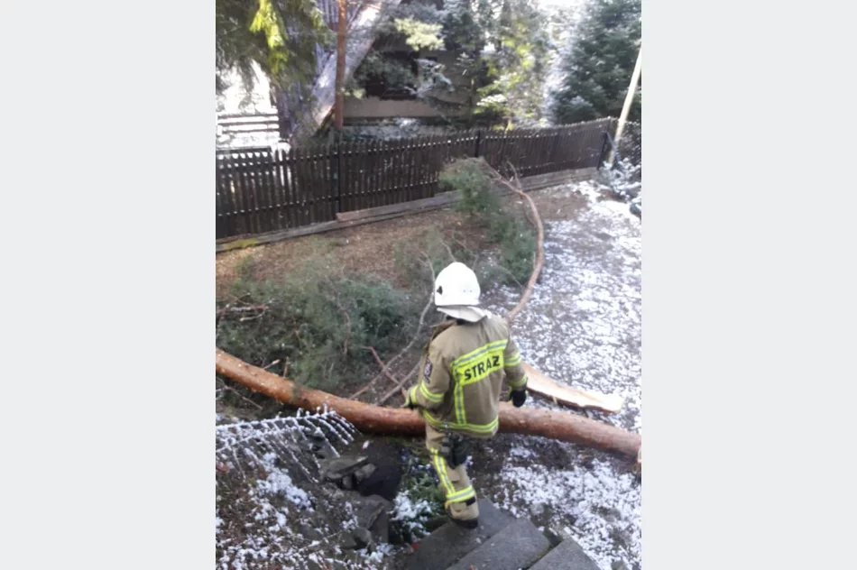 Pracowite dni strażaków-ochotników - zdjęcie 5