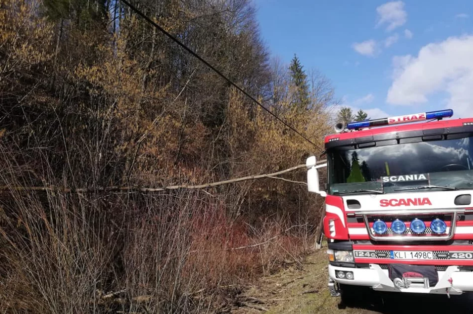 Pracowite dni strażaków-ochotników - zdjęcie 6