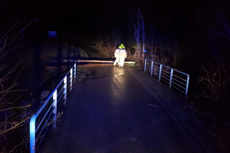 Pracowite dni strażaków-ochotników - zdjęcie 15