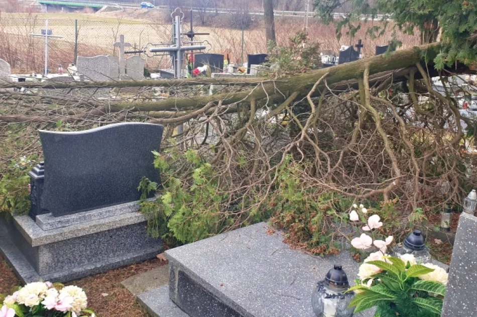 Spustoszenia także na cmentarzach - zdjęcie 3