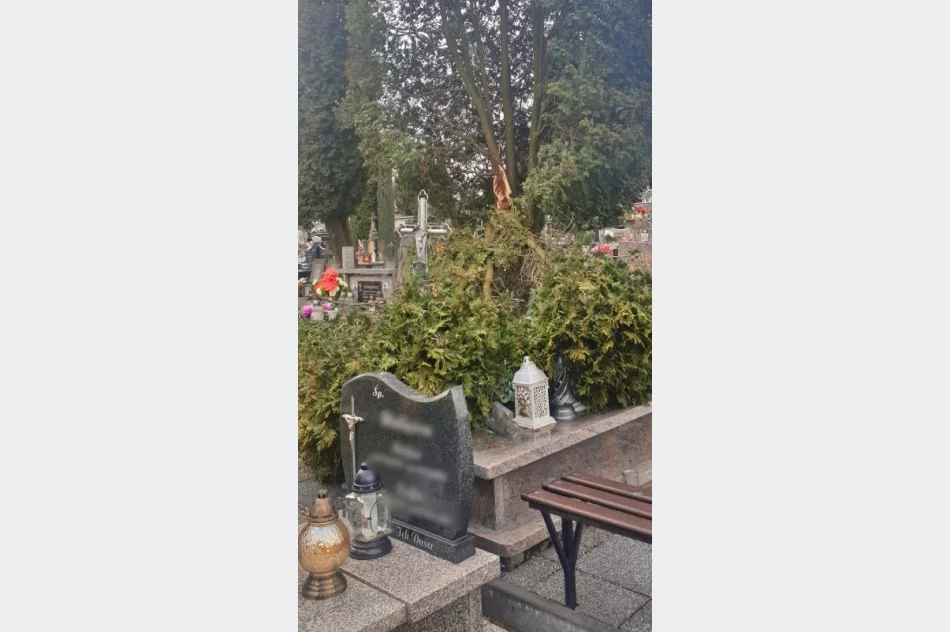 Spustoszenia także na cmentarzach - zdjęcie 4