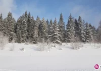 Drugi stopień zagrożenia na kolejne noce - zdjęcie główne