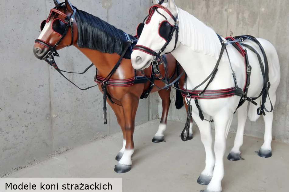 Odtwarzamy tradycje pożarnicze - zdjęcie 15