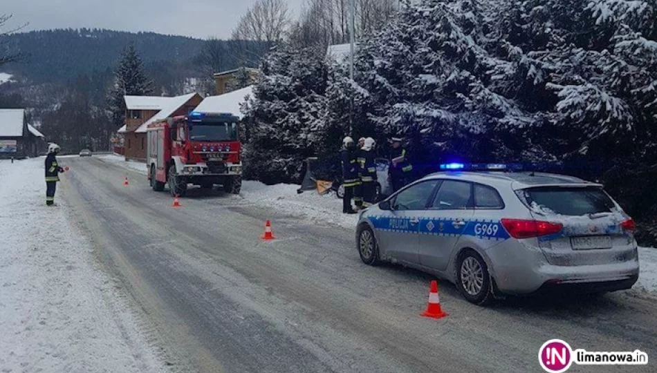 Auto zjechało z drogi i uderzyło w latarnię. Kierująca trafiła do szpitala - zdjęcie 1