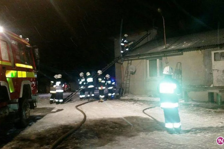 W pożarze spłonęło 20 tys. piskląt - zdjęcie 2