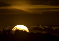 Znów może wystąpić silny wiatr - ostrzegają meteorolodzy - zdjęcie główne