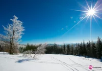 Kolejne dni silnego mrozu - nawet do - 25 st. C. - zdjęcie główne