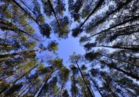 Kolejne kroki w walce o czystsze powietrze - zdjęcie główne