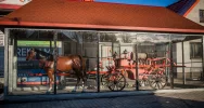 Polsko-słowacki projekt o dawnym pożarnictwie - zdjęcie 4