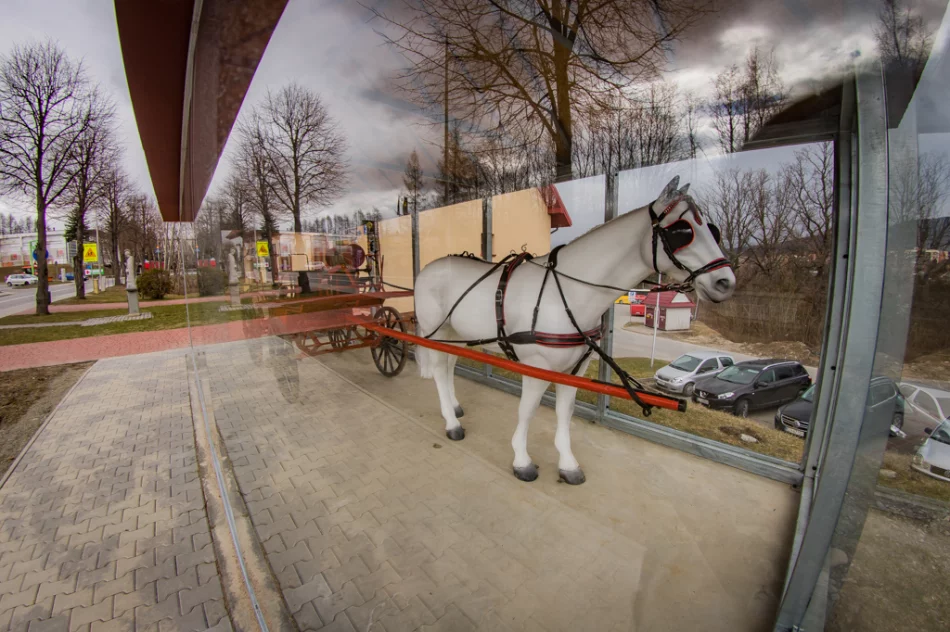 Polsko-słowacki projekt o dawnym pożarnictwie - zdjęcie 16