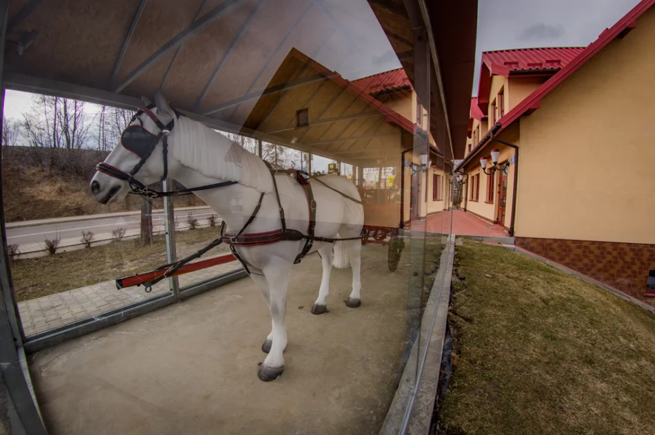 Polsko-słowacki projekt o dawnym pożarnictwie - zdjęcie 17