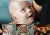 Mimo bólu i cierpienia uśmiecha się. Mały Mikołaj potrzebuje pomocy! - zdjęcie główne